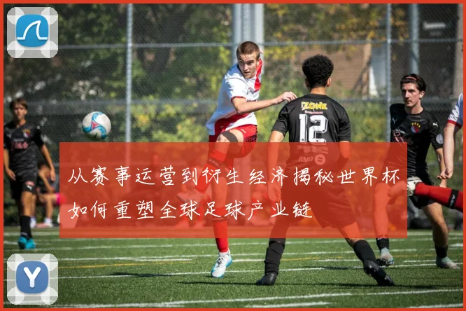 从赛事运营到衍生经济揭秘世界杯如何重塑全球足球产业链